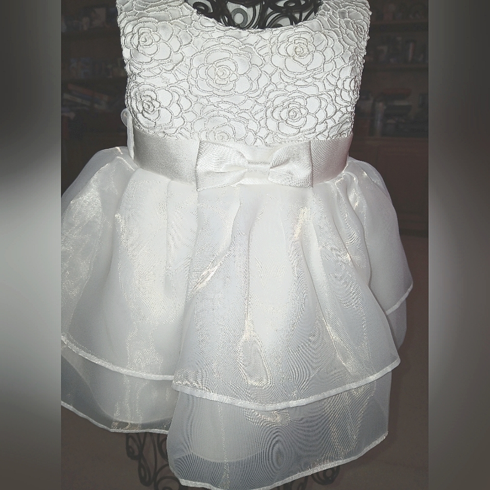 (Rare Editions) EXQUISITE White Flower Girl Dress, 3yrs, Can be $15.w/$4.99shppg